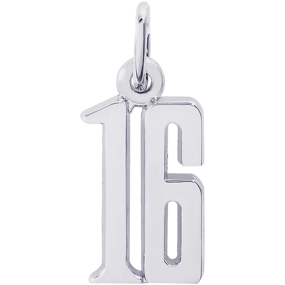 Rembrandt Number 16 Charm