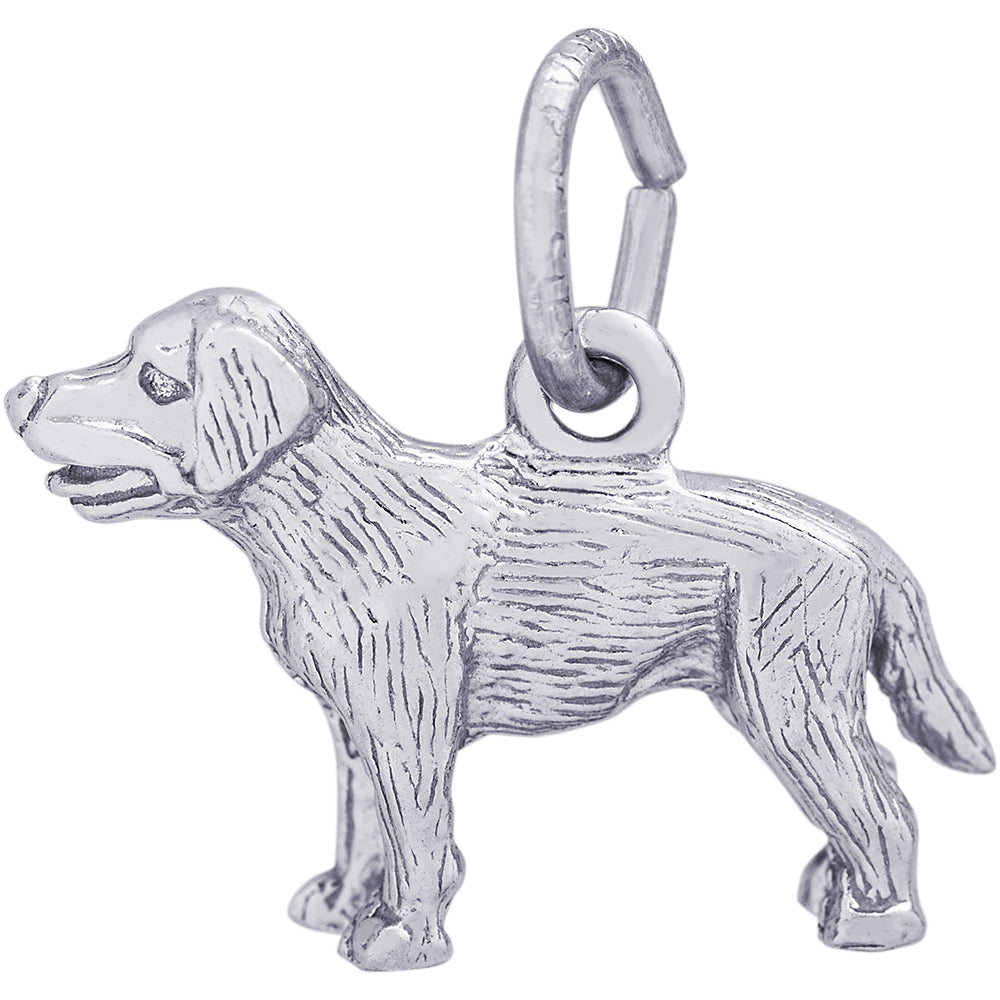 Rembrandt Dog Charm