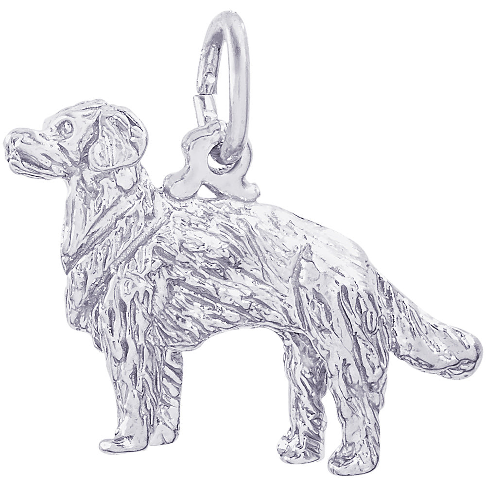 Rembrandt Golden Retriever Dog Charm