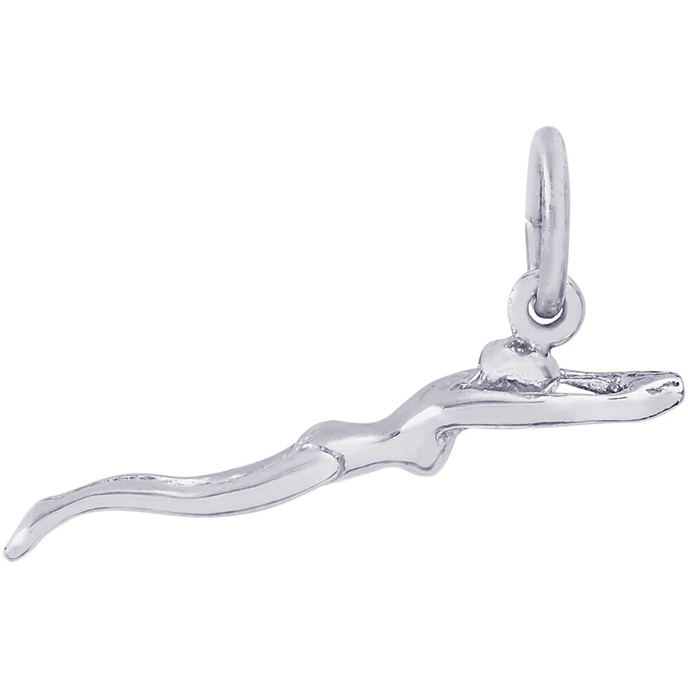 Rembrandt Swimmer Charm