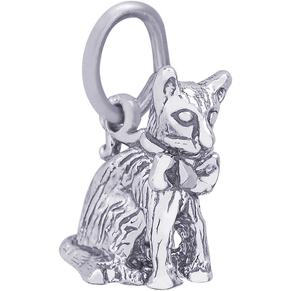 Rembrandt Cat Charm