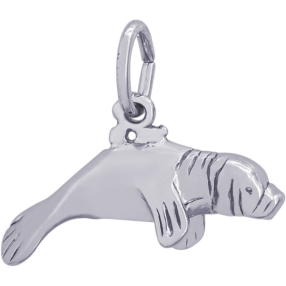 Rembrandt Manatee Charm