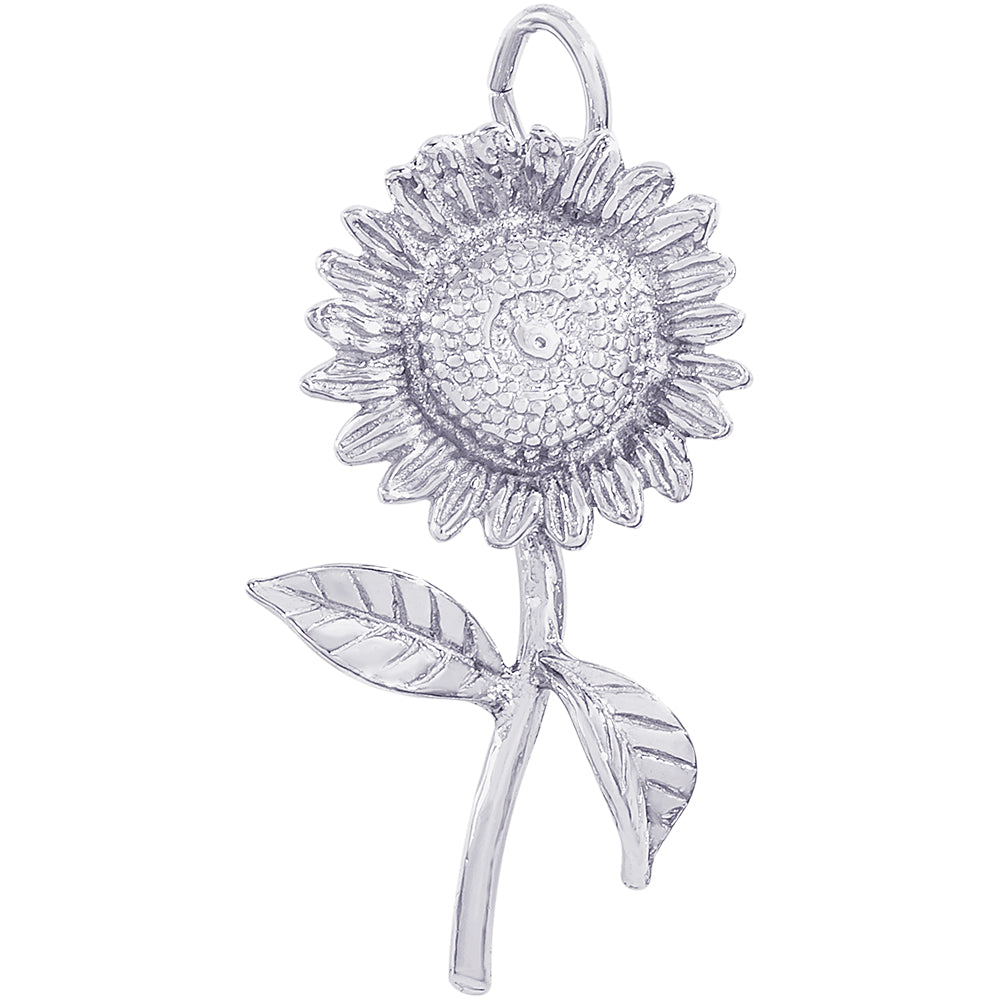 Rembrandt Sunflower Charm