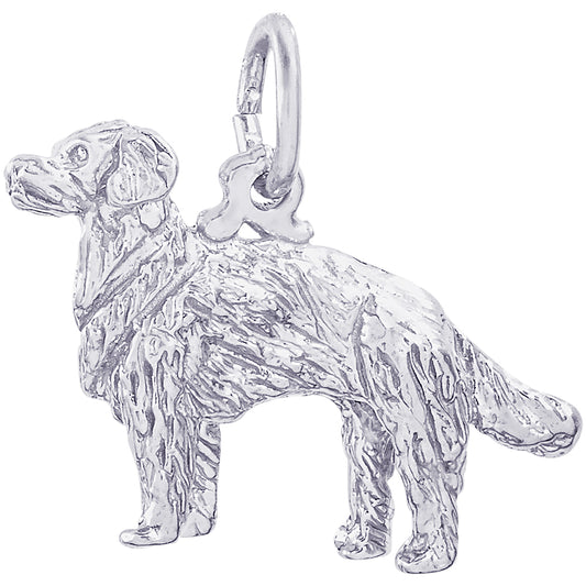Rembrandt Golden Retriever Dog Charm - Silver Charms