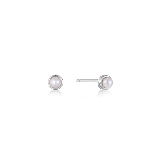 Silver Earring