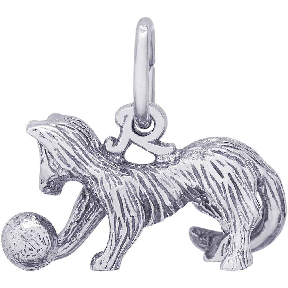 Rembrandt Cat Charm