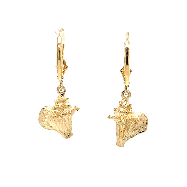 Gold Dangle Earrings