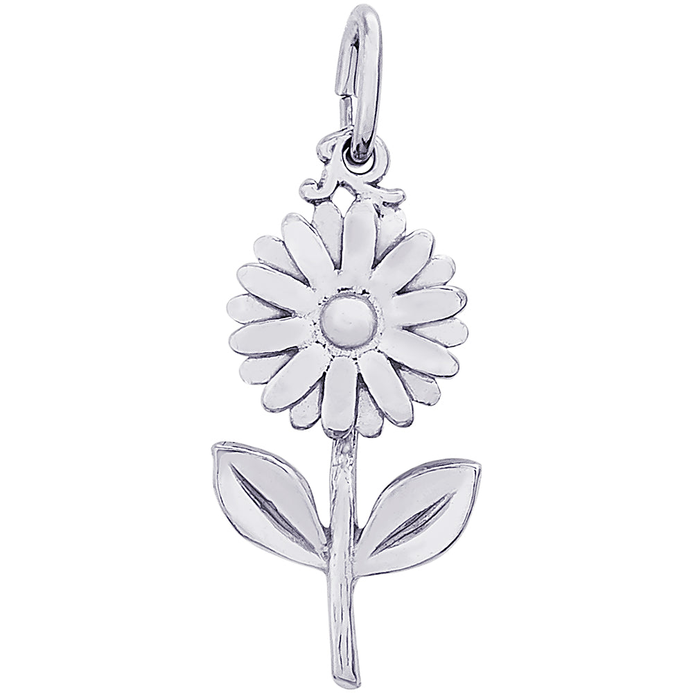 Rembrandt Daisy Charm