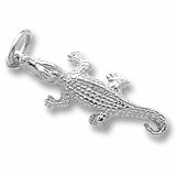Silver Charm - Silver Charms